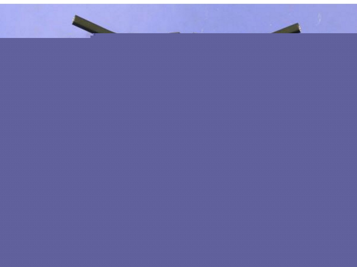 プレデター Sang Lee CRM2 バット＋エクステンションセット プレデター Sang Lee CRM2 バット＋エクステンションセット プレデター