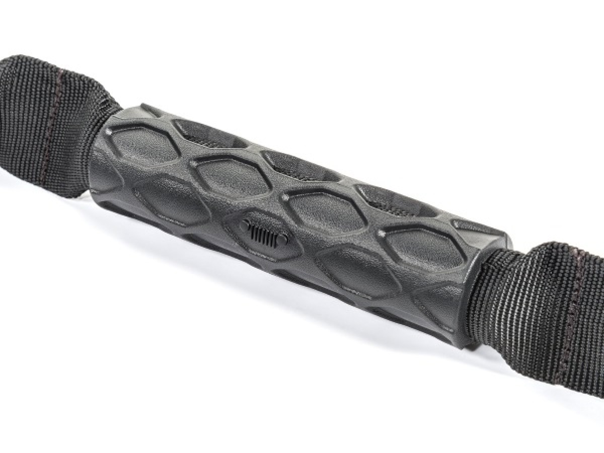 Buy Genuine Mopar Grab Handles Front Pair 82215523AC Mopar Original