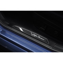 68353803aa-carbon-fiber-door-