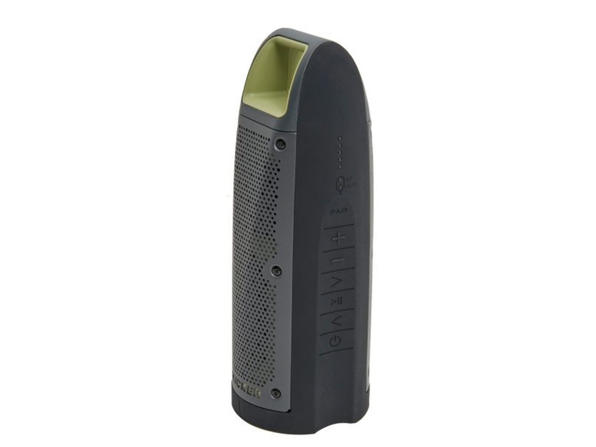 Chevrolet Bullfrog BF100 Portable Bluetooth Waterproof